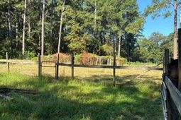 696 Bedon Road photo 4