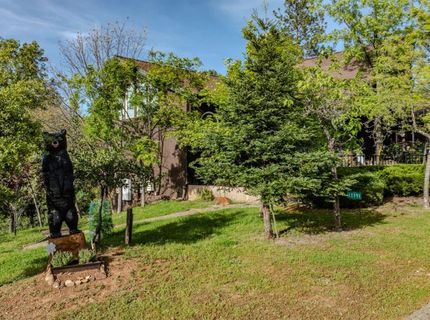 12091 Mierkey Rd., Jackson, CA 95642 Photo