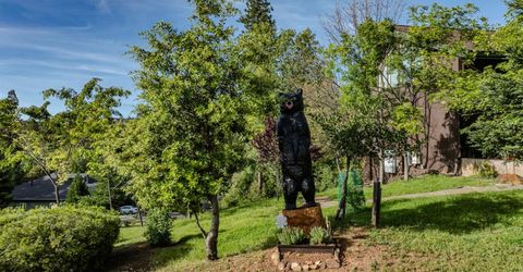 12091 Mierkey Rd., Jackson, CA 95642 Photo