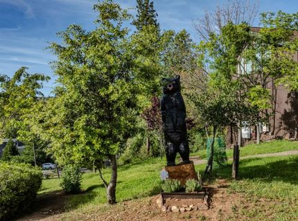 12091 Mierkey Rd., Jackson, CA 95642 Photo