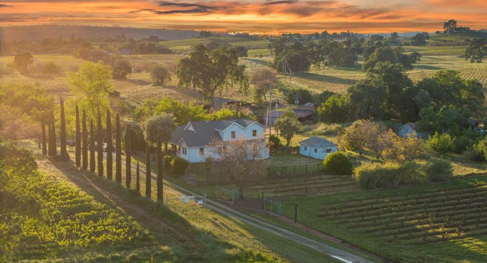 20865 Shenandoah School Rd, Plymouth, CA 95669 Photo