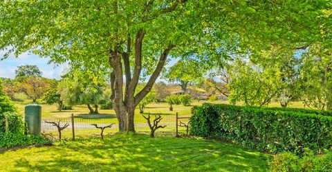 20865 Shenandoah School Rd, Plymouth, CA 95669 Photo