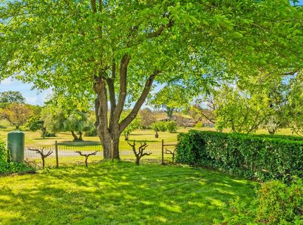 20865 Shenandoah School Rd, Plymouth, CA 95669 Photo