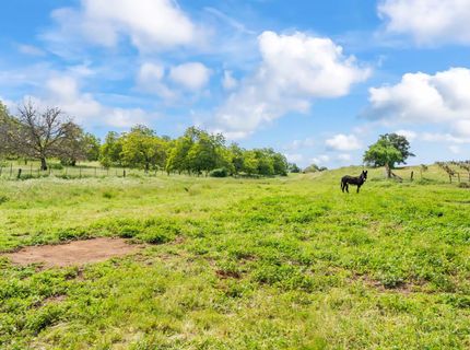 20865 Shenandoah School Rd, Plymouth, CA 95669 Photo