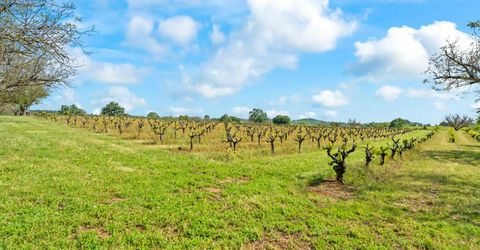 20865 Shenandoah School Rd, Plymouth, CA 95669 Photo