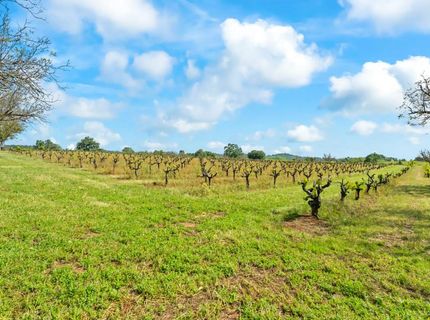 20865 Shenandoah School Rd, Plymouth, CA 95669 Photo