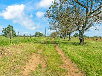 20865 Shenandoah School Rd, Plymouth, CA 95669 Photo