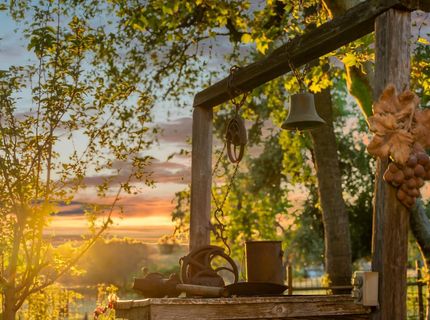 20865 Shenandoah School Rd, Plymouth, CA 95669 Photo