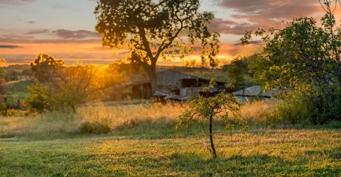 20865 Shenandoah School Rd, Plymouth, CA 95669 Photo