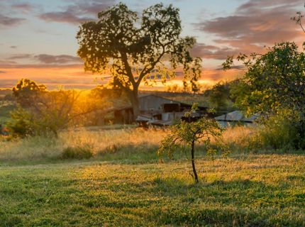 20865 Shenandoah School Rd, Plymouth, CA 95669 Photo