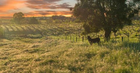 20865 Shenandoah School Rd, Plymouth, CA 95669 Photo