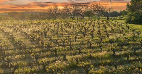 20865 Shenandoah School Rd, Plymouth, CA 95669 Photo