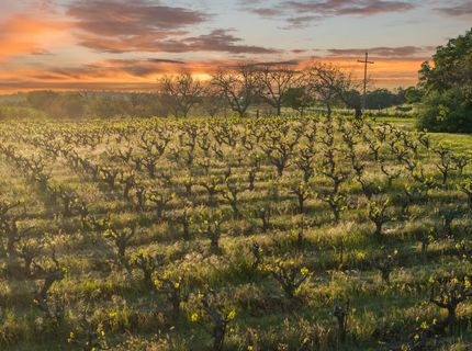 20865 Shenandoah School Rd, Plymouth, CA 95669 Photo