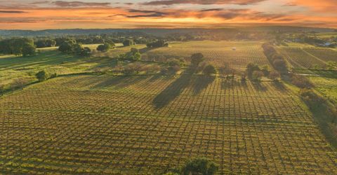 20865 Shenandoah School Rd, Plymouth, CA 95669 Photo