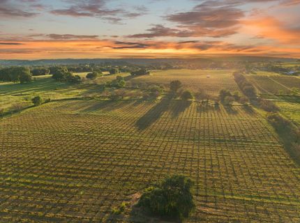 20865 Shenandoah School Rd, Plymouth, CA 95669 Photo