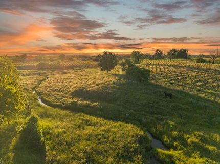 20865 Shenandoah School Rd, Plymouth, CA 95669 Photo