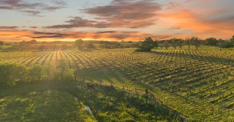 20865 Shenandoah School Rd, Plymouth, CA 95669 Photo