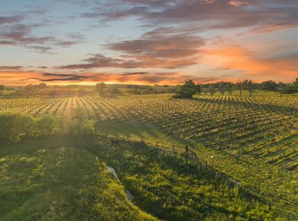 20865 Shenandoah School Rd, Plymouth, CA 95669 Photo