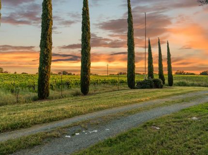 20865 Shenandoah School Rd, Plymouth, CA 95669 Photo