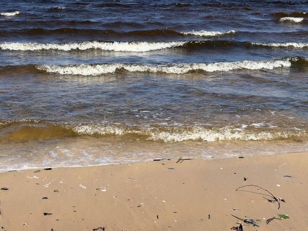 1100 S State Avenue, Alpena, MI 49707