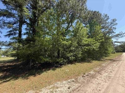 TBD New Bridge Rd. , Nichols, SC 29581