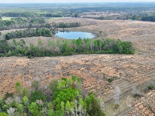 TRACT 2 Mount Shady Church Road, Swainsboro, GA 30401