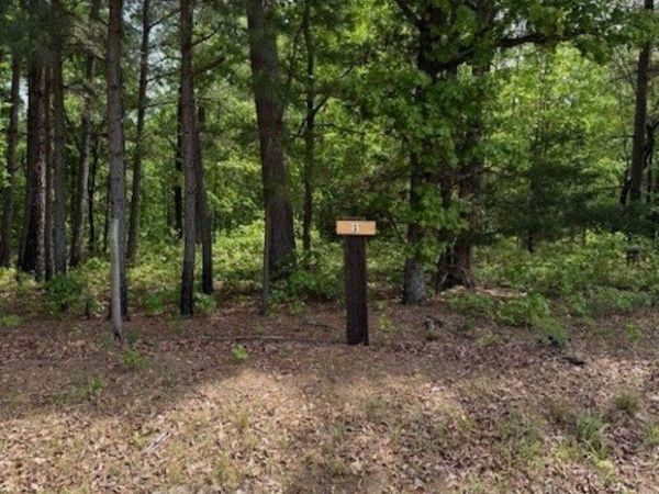 TBD Maddox Court , Arkadelphia, AR 71923