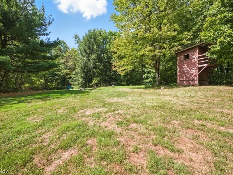 42641 sr-517, Columbiana, OH 44408 Photo 27