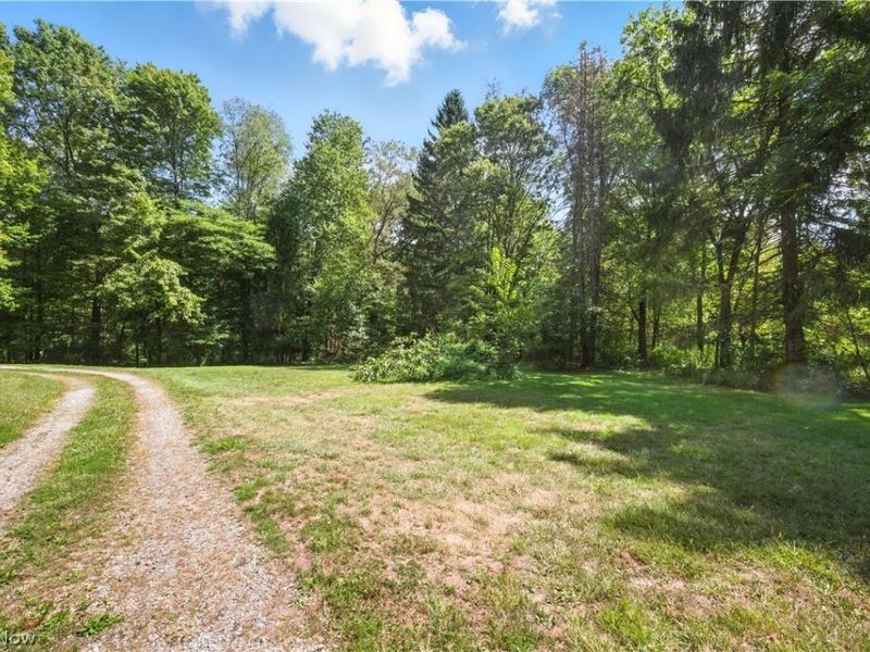 42641 sr-517, Columbiana, OH 44408 Photo 28