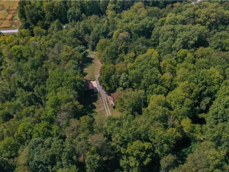 42641 sr-517, Columbiana, OH 44408 Photo 33