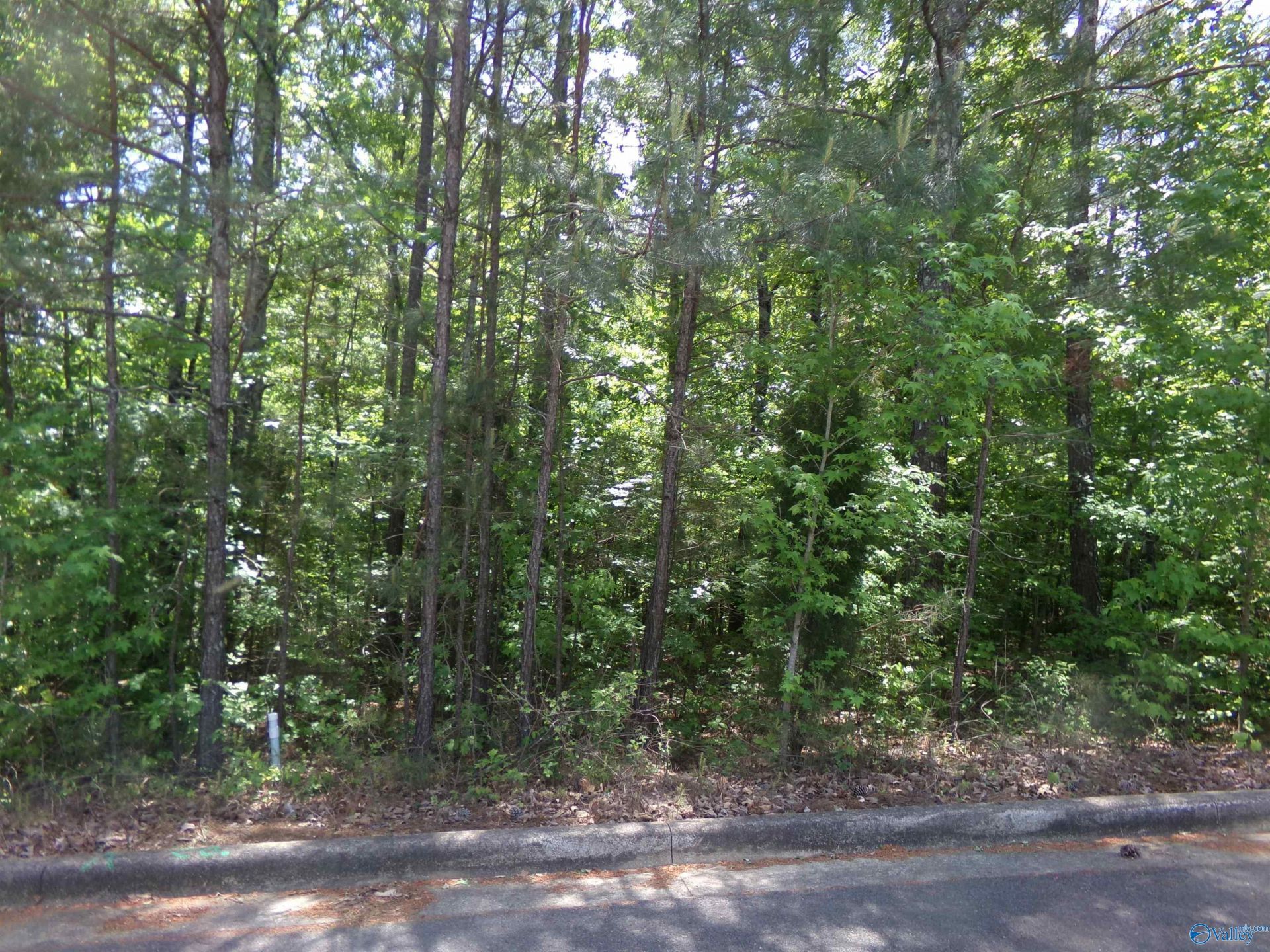Lot 33 Cade Circle, Leesburg, AL 35983 Main Photo