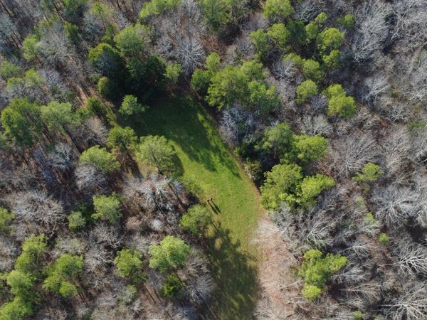 61 CO RD 650 RD, Walnut, MS 38683