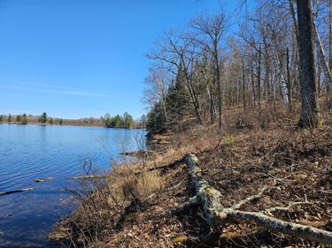 TBD Tract B Swanson Road , Deerwood, MN 56444