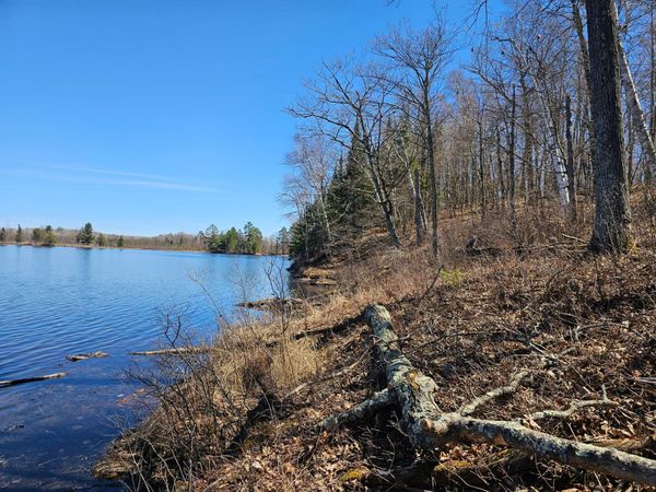 TBD Tract B Swanson Road , Deerwood, MN 56444