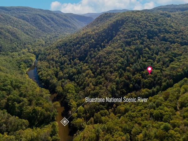 0 Bluestone River Road, Jumping Branch, WV 25951