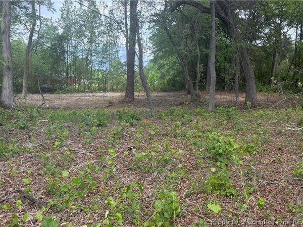 McDougald Road , Broadway, NC 27505