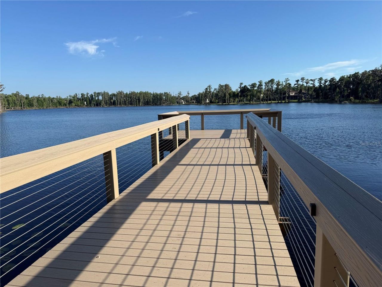 1306 Merry Water Drive, Lutz, FL 33548 Photo