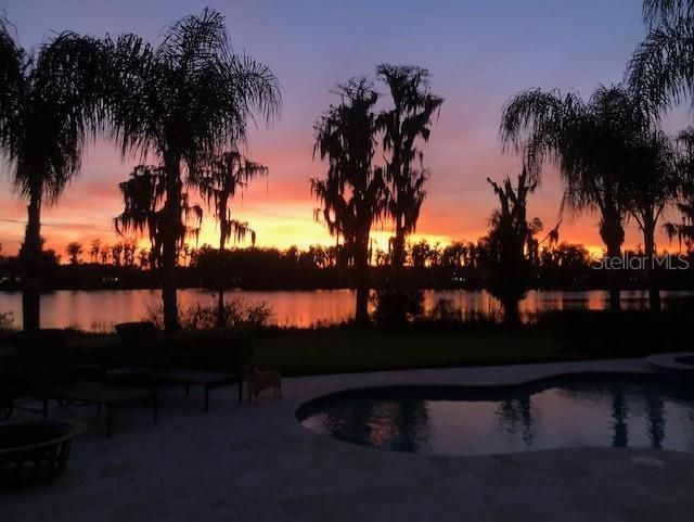 1306 Merry Water Drive, Lutz, FL 33548 Photo