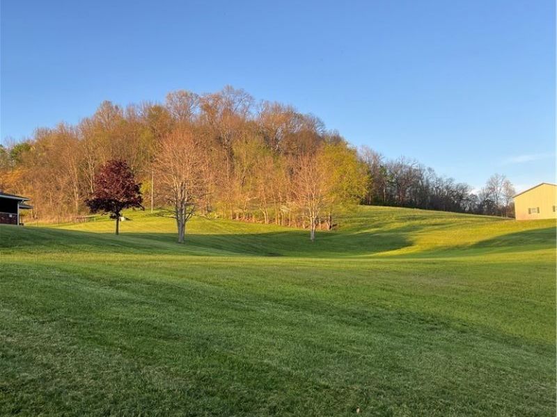 47666 Seneca Lake Road , Sarahsville, OH 43779 Photo 34