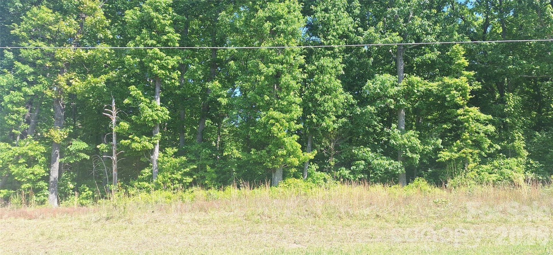 620 Long Shoals Road, Lincolnton, NC 28092 Main Photo
