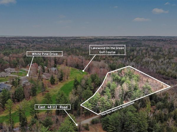 VL E 48 1/2 Road, Cadillac, MI 49601