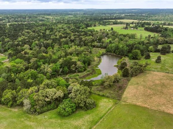 1029 An County Road 185, Elkhart, TX 75839