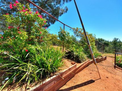 10447 Carlos Ct, Coulterville, CA 95311 Photo