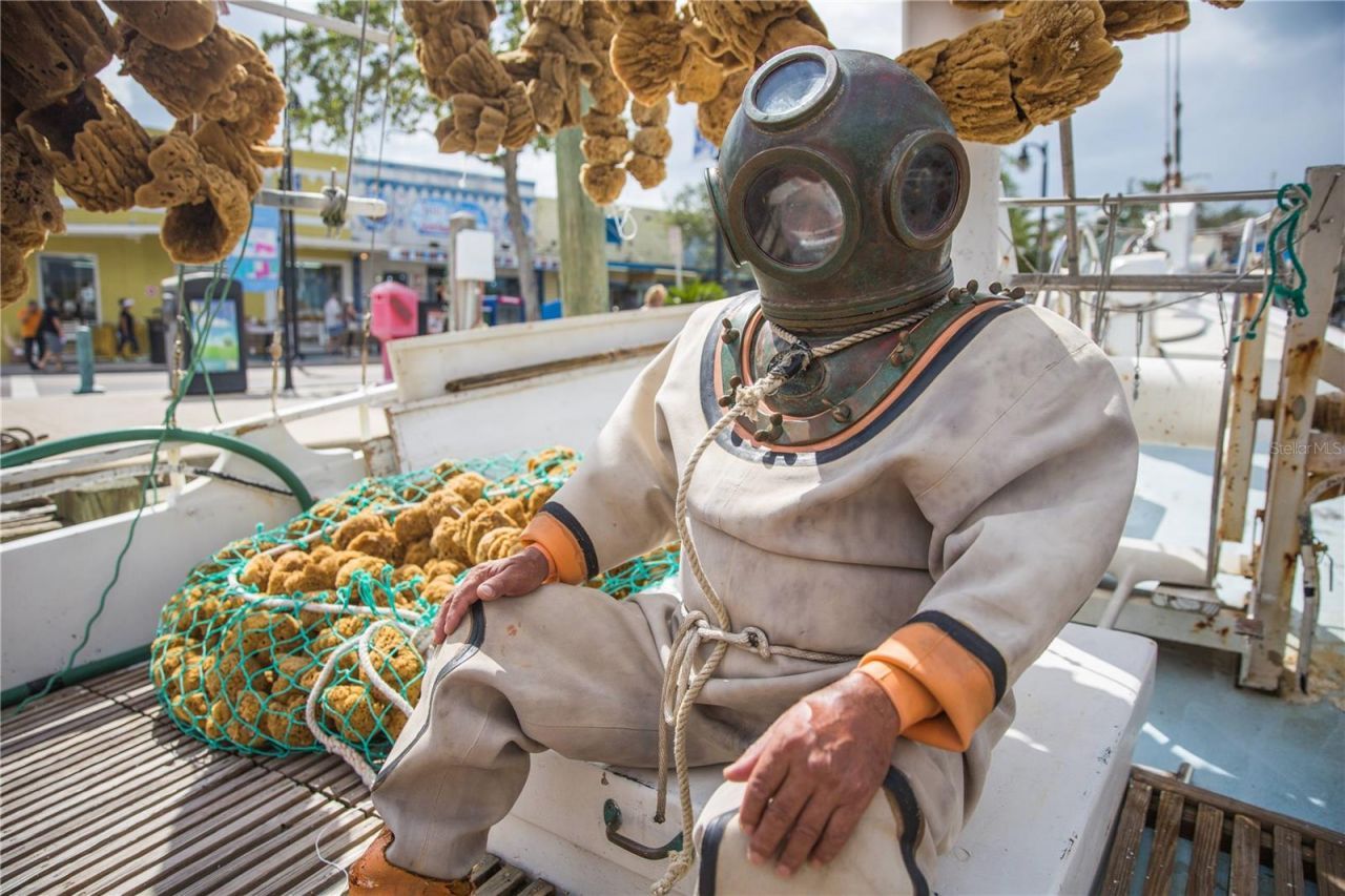 10913 Liberty Drive , Port Richey, FL 34668 Photo