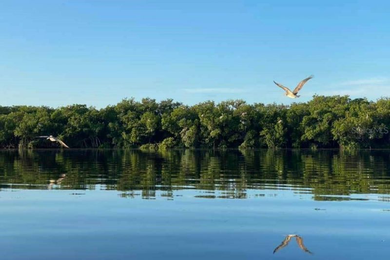 10913 Liberty Drive , Port Richey, FL 34668 Photo