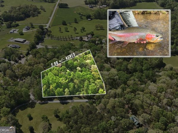 LOT 3 Fenwick Wood Road, Clarkesville, GA 30523