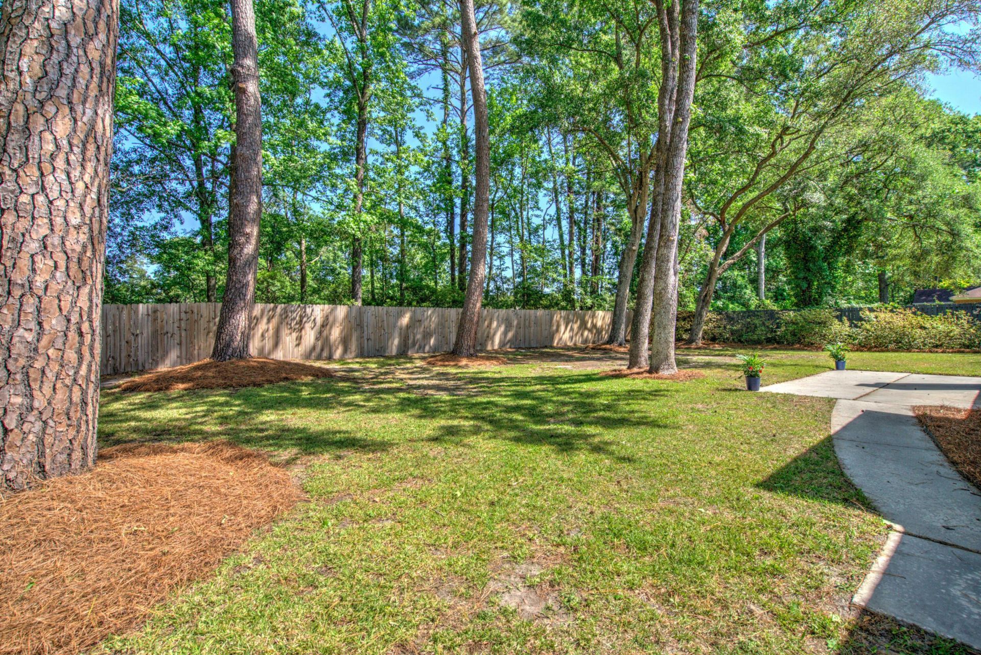 226 Smythe Drive Photo 45