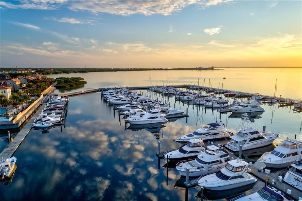 5713 Bowen Daniel Dr., Unit 505, Tampa, FL 33616 Photo