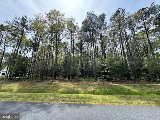 Lot 94 Olde Mill Lane, New Church, VA 23415 Main Photo
