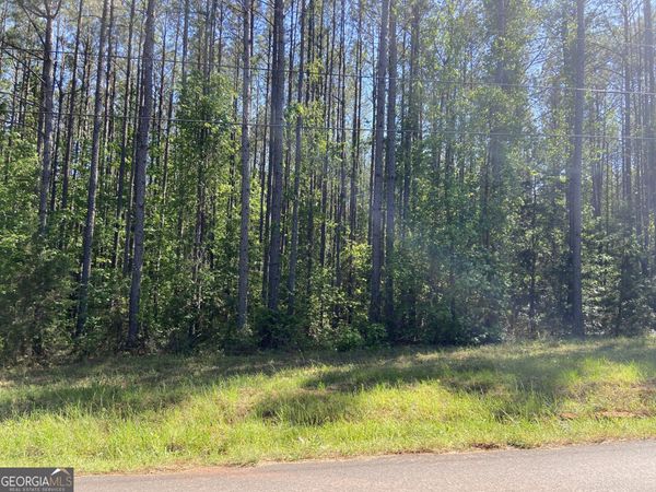 711 McCommon Road, Forsyth, GA 31029